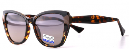 Очки Santarelli RN7009 C2