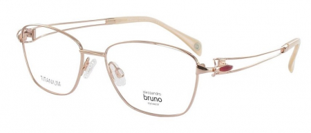 Оправа Alessandro Bruno TITANIUM 1194 01R